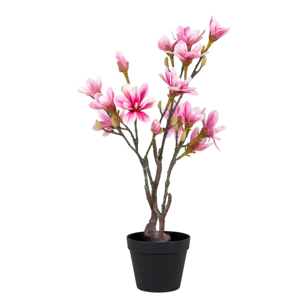 House Nordic Künstlicher Magnolia Baum online kaufen bei SKANDEKO