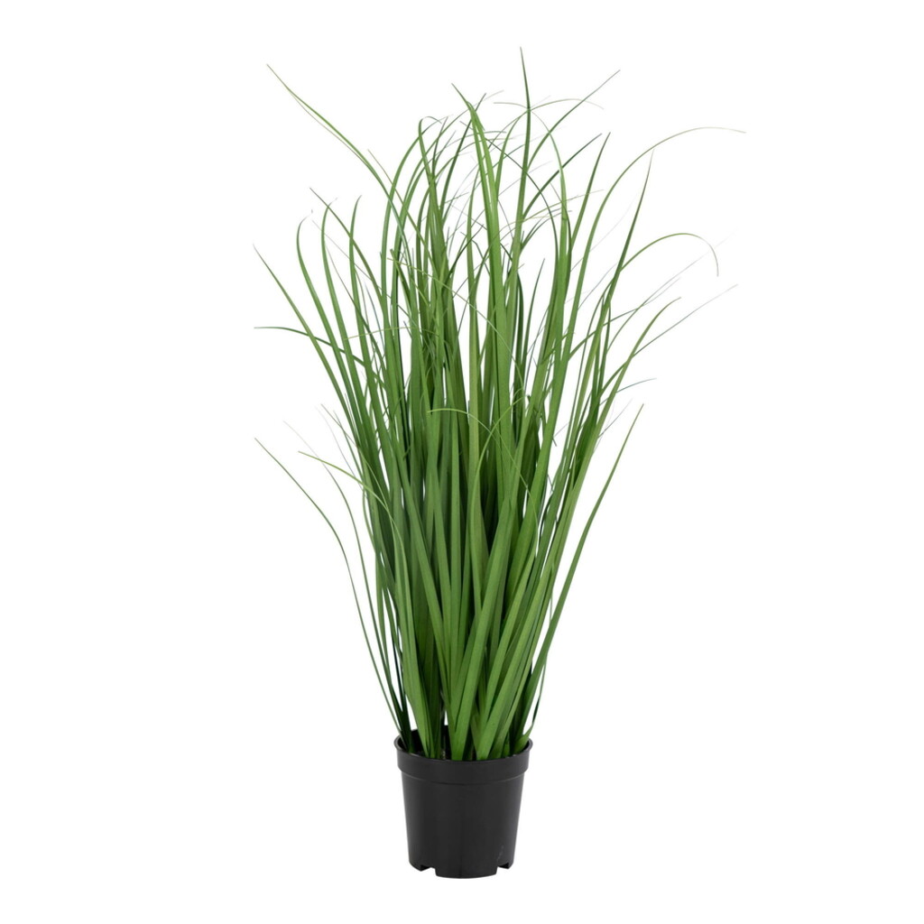 House Nordic Künstliches Poa Gras von House Nordic online kaufen bei SKANDEKO