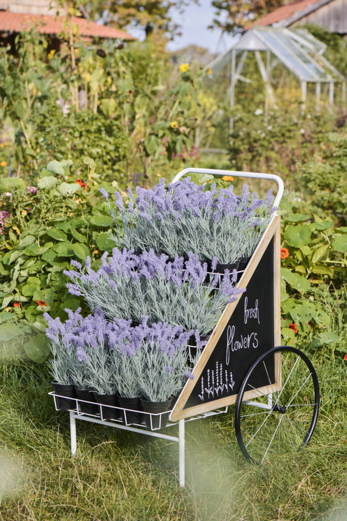 IB Laursen Displaywagen, Blumenwagen auf Rädern online kaufen bei SKANDEKO (Ansicht 2)