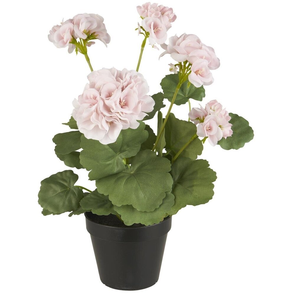 IB Laursen Geranie in Topf rosa Blumen online kaufen bei SKANDEKO