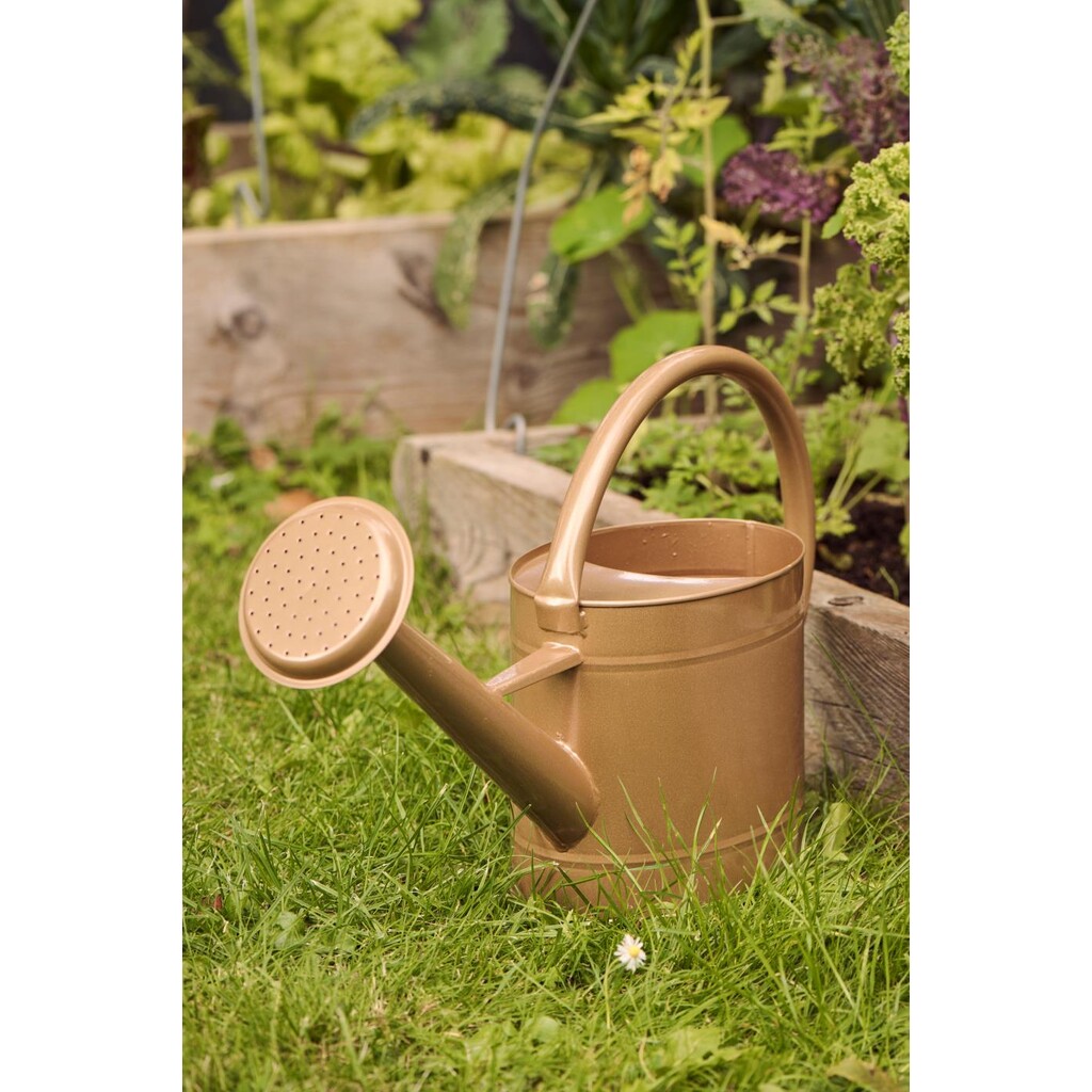Gießkanne oval 5 ltr