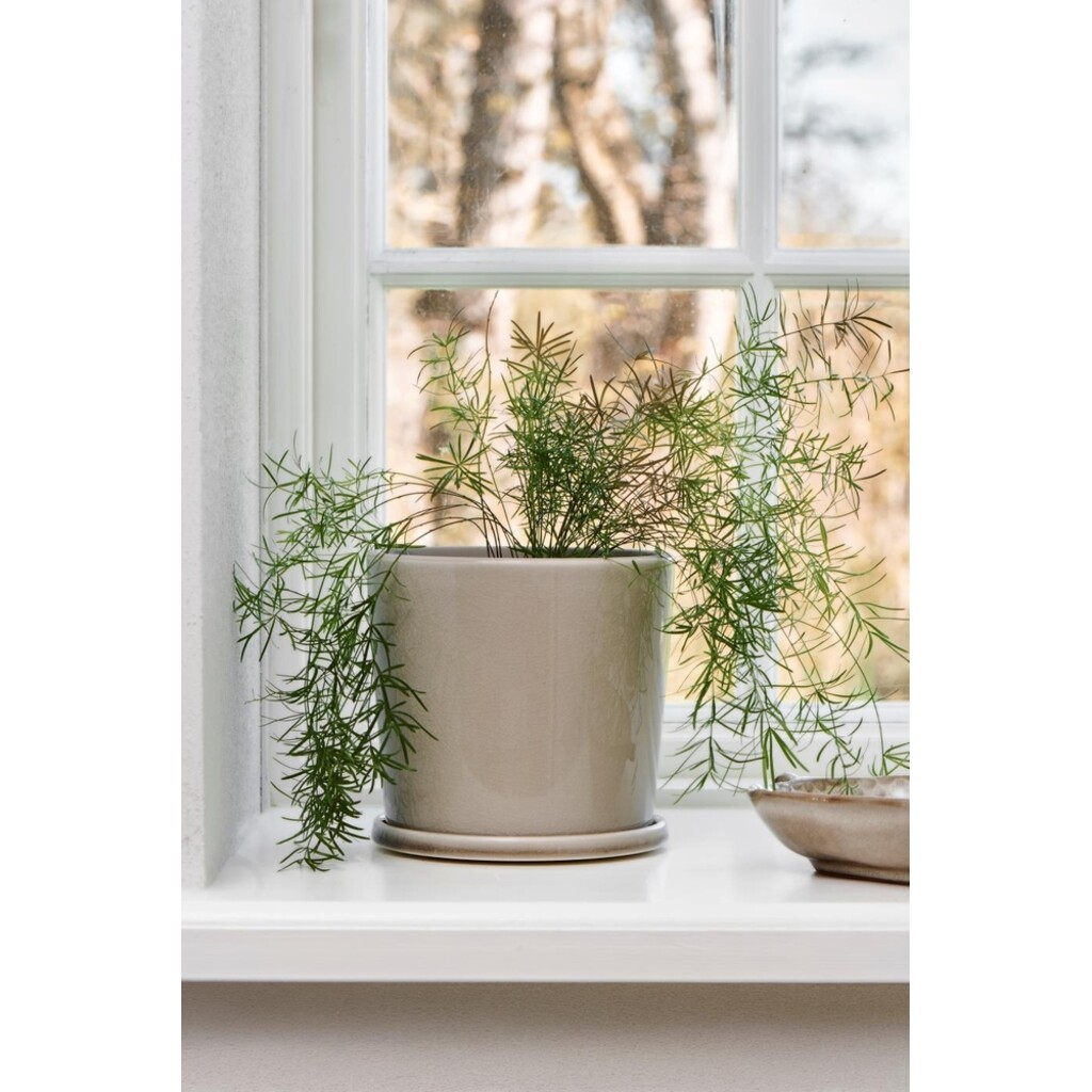 IB Laursen Blumentopf Saga mit Untersetzer