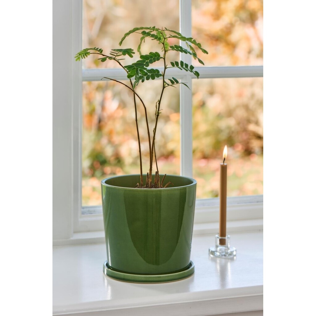 IB Laursen Blumentopf Saga mit Untersetzer