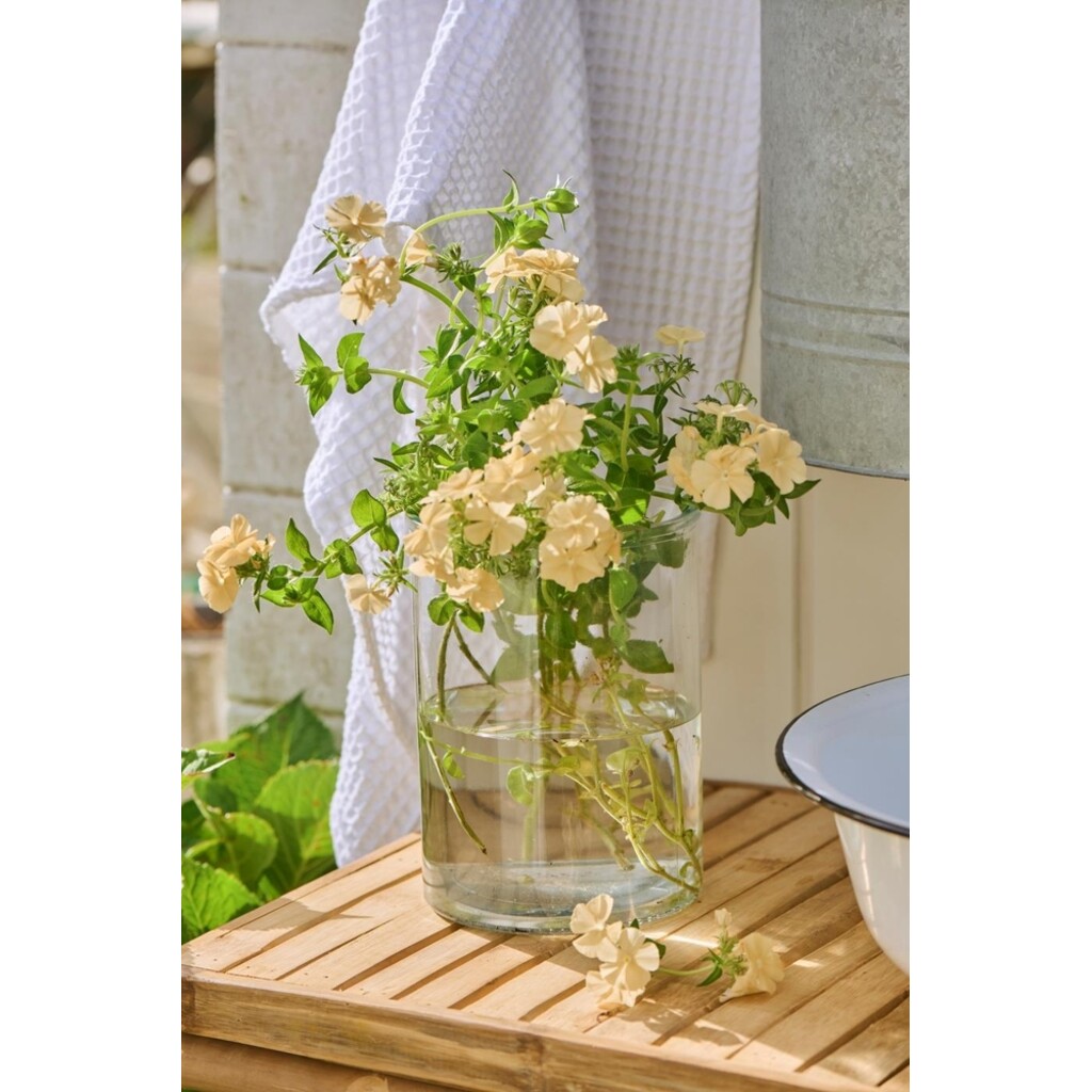 Vase Hannah - Zylinderförmiges Glas