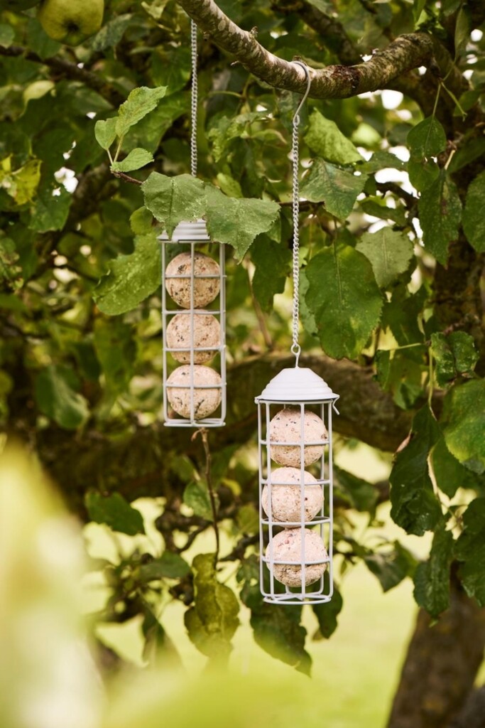 Vogelfutterspender für Meisenknödel