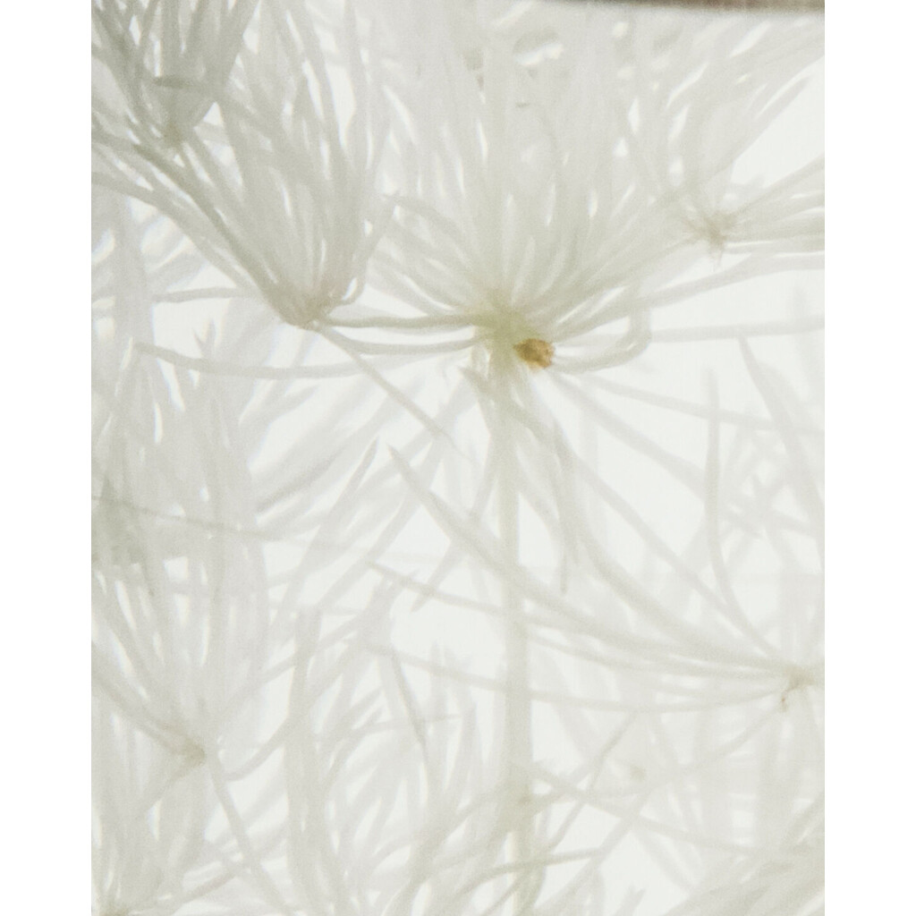 Meraki Raumduft-Diffuser Lilac Muse, 240 ml