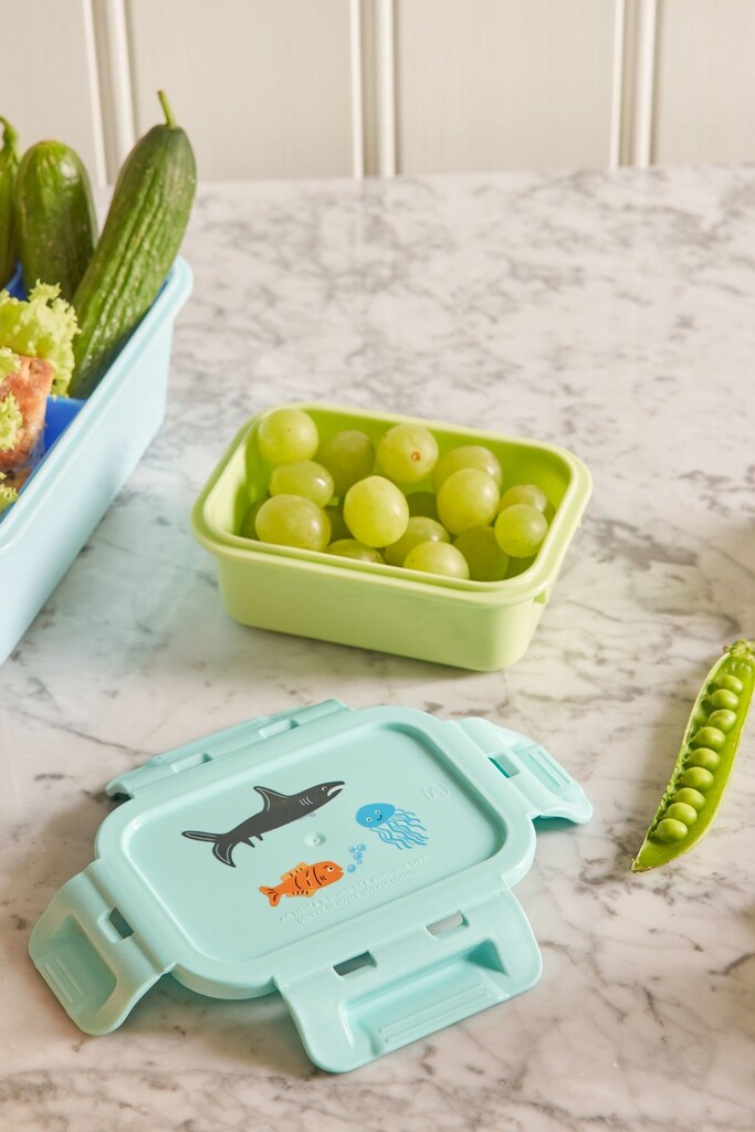 RICE Kleine Kinder Brotdose Wildlife Print online kaufen bei SKANDEKO (Ansicht 2)