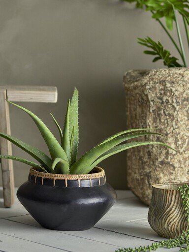 Impressionen zu Bloomingville Künstliche Aloe Vera Pflanze im Topf 61 cm, Bild 1