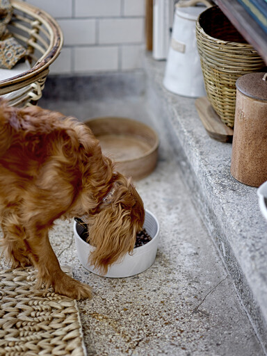 Impressionen zu Bloomingville Buddy Schale, Hundenapf weiß aus Steingut, Bild 1