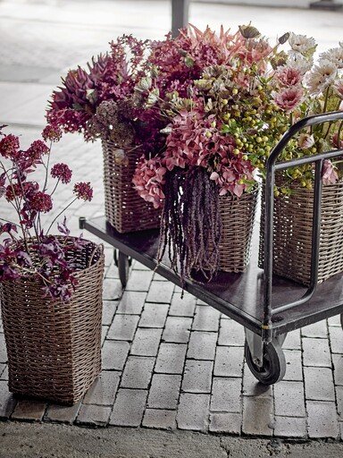 Impressionen zu Bloomingville Foxtail Kunstblumen-Stiel, Bild 3
