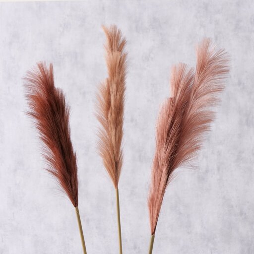 Impressionen zu Boltze Dekozweig Pampasgras Phragmites australis, Bild 1