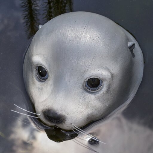 Impressionen zu Boltze Schwimmfigur Poggy Seehund, Bild 1