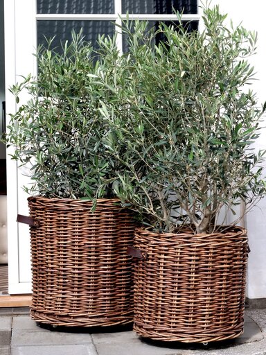 Impressionen zu Chic Antique 2er Set Korb mit Rädern, Bild 1