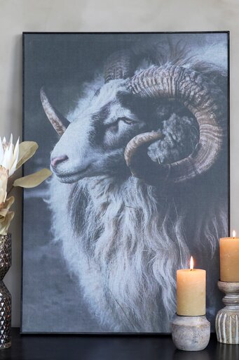 Impressionen zu Chic Antique Bild Widder mit schwarzem Rahmen, Bild 1