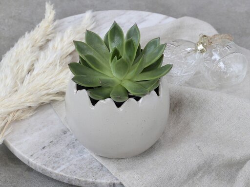 Impressionen zu Chic Antique Blumentopf Eierschale, Bild 3