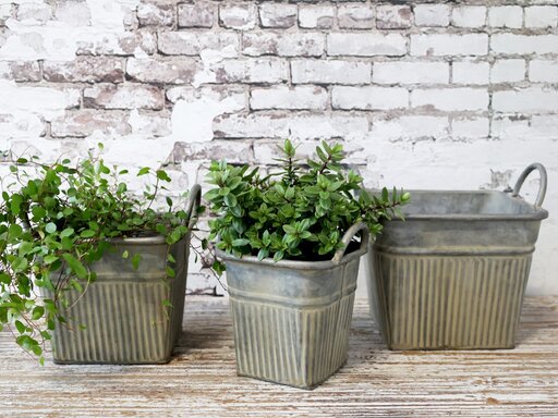 Impressionen zu Chic Antique Blumentopf mit Rillen und Griffen, Bild 6