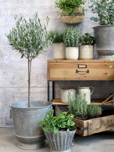 Impressionen zu Chic Antique Blumentopf Niort, Bild 1