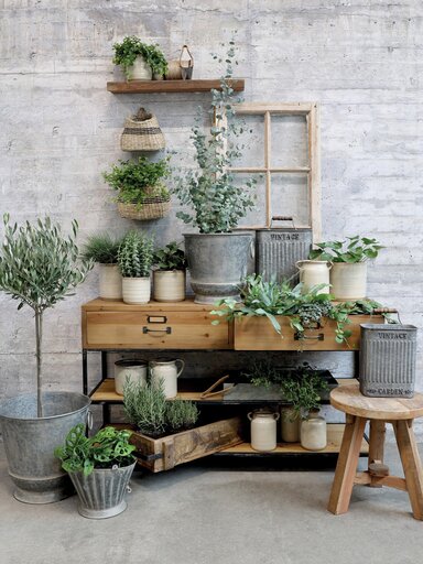 Impressionen zu Chic Antique Blumentopf Niort, Bild 3
