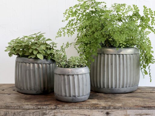 Impressionen zu Chic Antique Blumentopf Pflanztopf mit Rillen, Bild 3