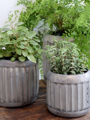 Impressionen zu Chic Antique Blumentopf Pflanztopf mit Rillen, Bild 1
