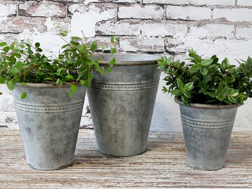 Impressionen zu Chic Antique Eisen Blumentöpfe im Set, Bild 2
