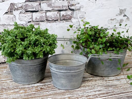 Impressionen zu Chic Antique Eisen Blumentopf mit Griff im Set, Bild 2
