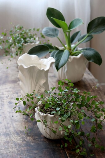 Impressionen zu Chic Antique Fayence Blumentopf mit Blätter, Bild 5