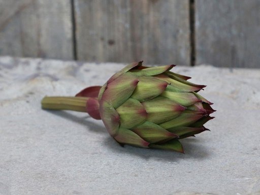 Impressionen zu Chic Antique Fleur Artischocke, Bild 1