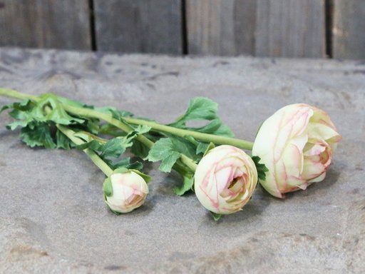 Impressionen zu Chic Antique Fleur Butterblume melone, Bild 1