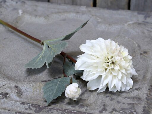 Impressionen zu Chic Antique Fleur Dahlien, Bild 1