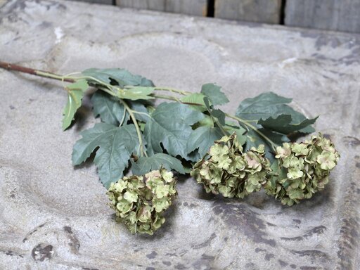 Impressionen zu Chic Antique Fleur Duftschneebälle, Bild 1