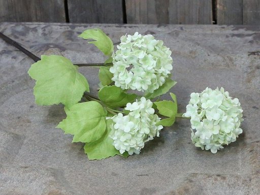 Impressionen zu Chic Antique Fleur Echter Schneeball lime, Bild 1