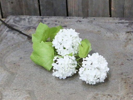 Impressionen zu Chic Antique Fleur Echter Schneeball weiss, Bild 1