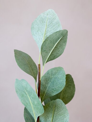 Impressionen zu Chic Antique Fleur Eukalyptus Ast, Bild 2