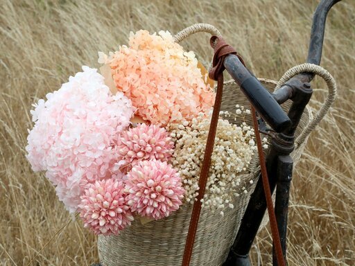 Impressionen zu Chic Antique Fleur getrocknete Schleierkraut Blume, Bild 4