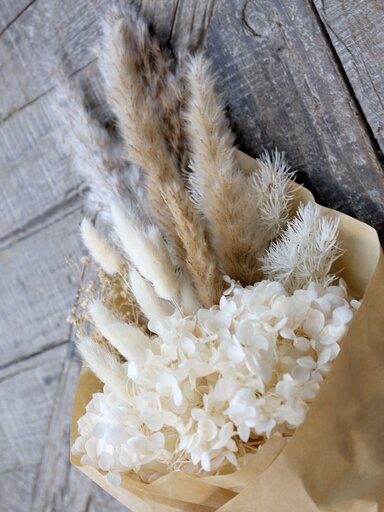 Impressionen zu Chic Antique Fleur getrocknete Schleierspargel, Bild 1