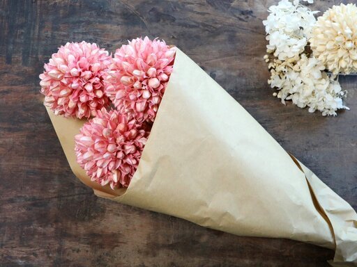 Impressionen zu Chic Antique Fleur getrocknete Schneeball Blumen farbig, Bild 1