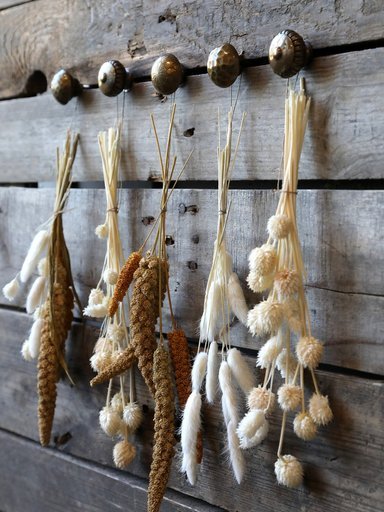 Impressionen zu Chic Antique Fleur getrocknete Seterea Blumen, Bild 3