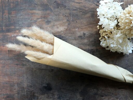 Impressionen zu Chic Antique Fleur getrocknetes Pampasgras, Bild 1