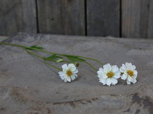 Impressionen zu Chic Antique Fleur Gräben Kante Blume 5, Bild 1