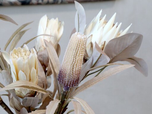 Impressionen zu Chic Antique Fleur Kunstblume Protea, Bild 3