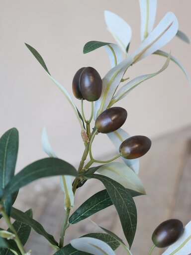 Impressionen zu Chic Antique Fleur Olivenzweig, Bild 2