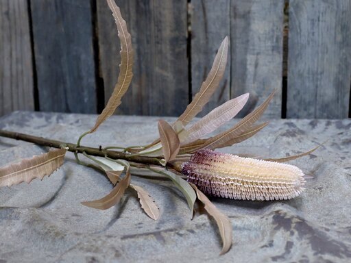 Impressionen zu Chic Antique Fleur Künstliche Protea Kunstblume, Bild 2