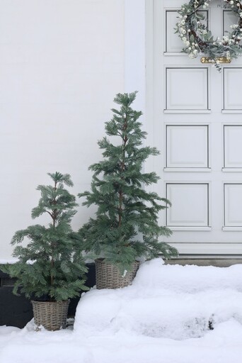 Impressionen zu Chic Antique Künstlicher Tannenbaum im Weidenkorb mit LED-Beleuchtung, Bild 3