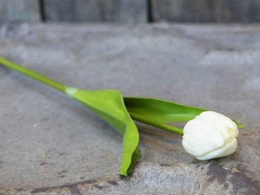 Impressionen zu Chic Antique Fleur Tulpe, Kunstblume, Bild 1