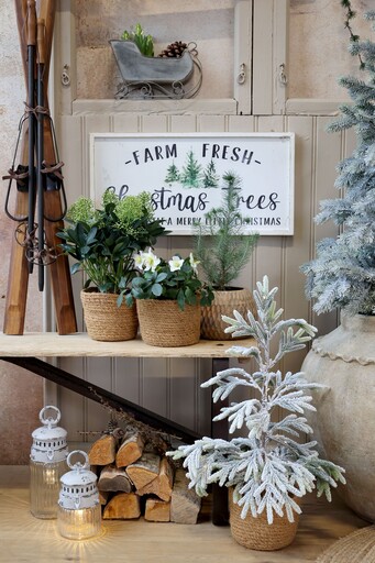 Impressionen zu Chic Antique Französische Stalllaterne inkl. Birne & Timer weiß, Bild 1