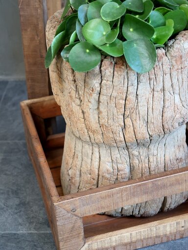 Impressionen zu Chic Antique Grimaud Aufsatz, Bild 4