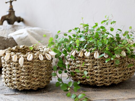 Impressionen zu Chic Antique Korb geflochten mit Muscheln, Bild 5