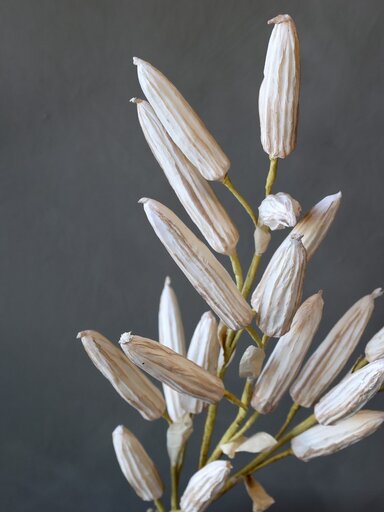 Impressionen zu Chic Antique Künstlicher Lilien Zweig, Bild 1
