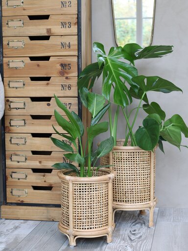 Impressionen zu Chic Antique Übertopf französisch geflochten auf Fuß, Bild 1